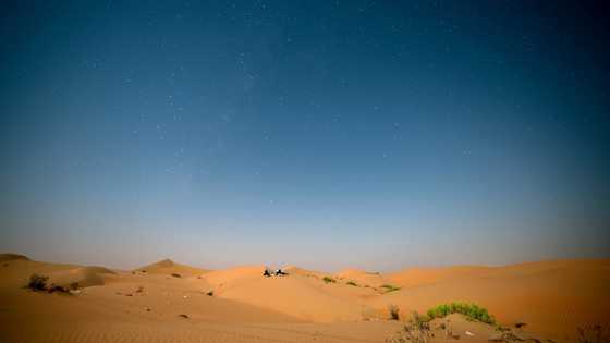 Oil-rich UAE turns to AI to grease economy