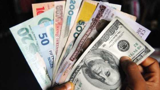 What is Nigeria's position? List of 20 African countries where workers earn highest minimum wage per month