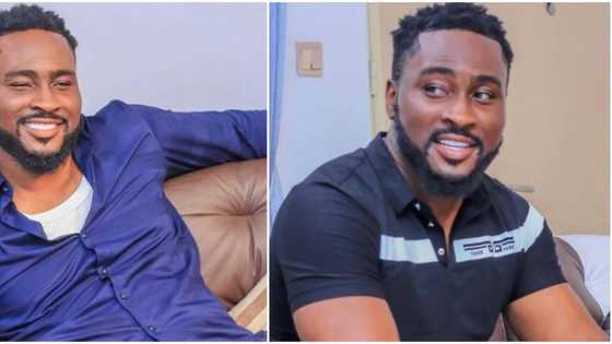 BBNaija: Pere says he will beg to get back with his girlfriend if his actions on the show have offended her
