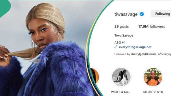 Big Bird in the Mud: Queen Tiwa Savage beats Wizkid becomes second most followed artist in Naija
