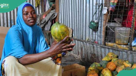 Feeding a Nation: Unraveling threats of insecurity to food security