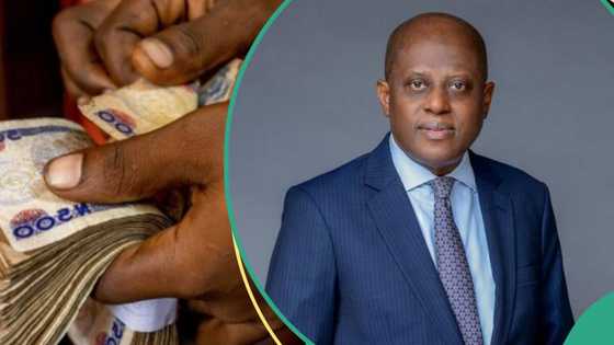 Naira exchanges dollar at new rate after CBN makes changes to interest rate, others