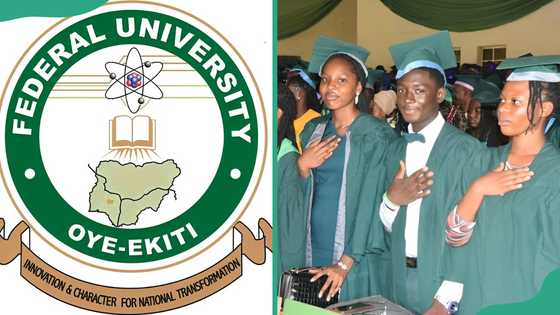 Federal University Oye-Ekiti courses, admission requirements and how to apply