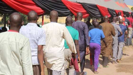 4 reasons why Boko Haram terrorists are surrendering enmasse