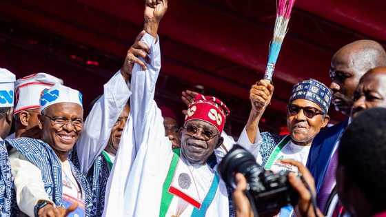 Tinubu disqualified? Court gives verdict on suit seeking to nullify APC candidate's nomination