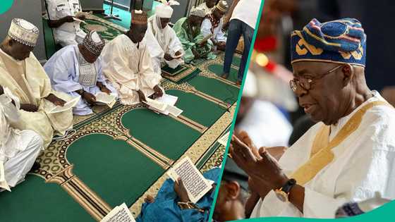 "Hanya 1 ta rage," Limaman masallatan Juma'a sun fitar da matsaya kan matsalar tsaron Najeriya