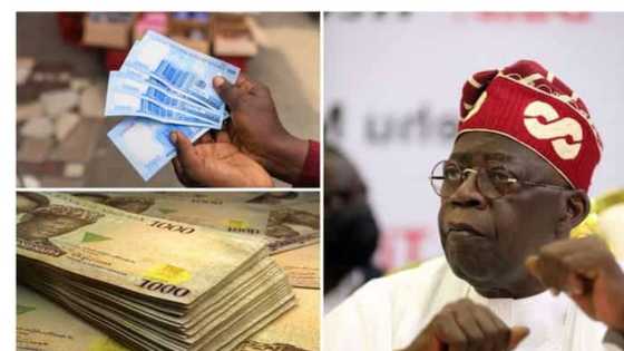 Da Dumi-Dumi: Tinubu Zai Duba Yiwuwar Tsawaita Wa'adin Dena Amfani Da Tsaffin Naira A Najeriya