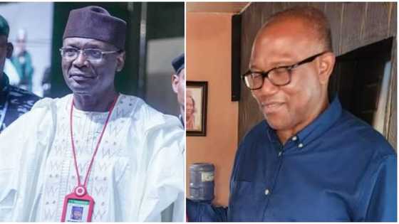 INEC protests against peter Obi’s request to tender exhibits from 17 states in court