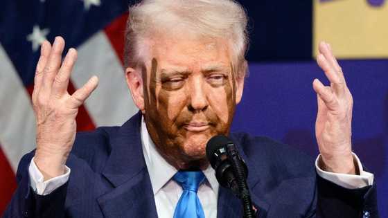 Trump, Xi to meet seeking truce in damaging trade war