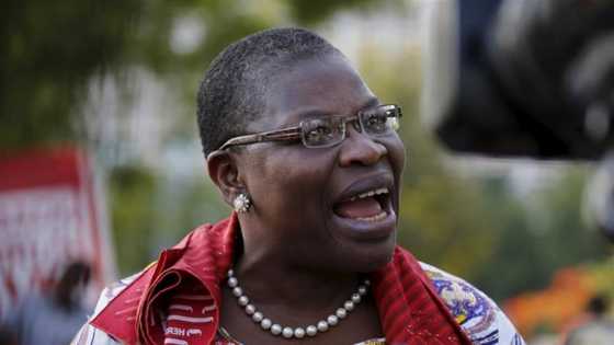 Kagara: Former minister Ezekwesili blasts FG, says kidnappings now flourish in Nigeria