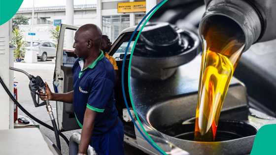 Diesel sells at over N2,000 per litre, data shows 10 most expensive states to buy