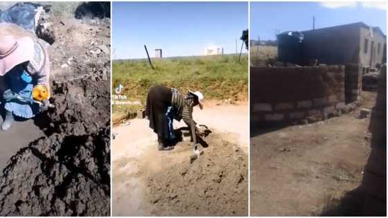 "Receive healing": Elderly woman builds house with bare hands, gets injured in video