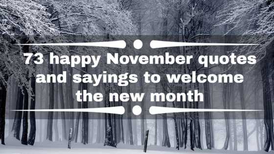 73 happy November quotes and sayings to welcome the new month