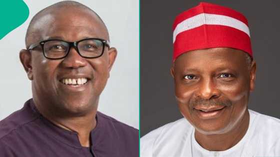 Breaking: Galadima Discloses When Peter Obi, Kwankwaso Will Dump ADC, Shares Details
