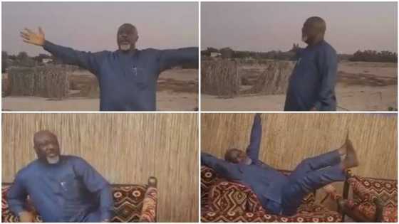 This is the life! Nigerian ex-senator excited as he visits farm in Dubai, social media reacts (video)