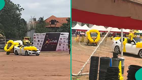 Woman shares video of school inter-house sports as yellow house uses keke and horse for march past