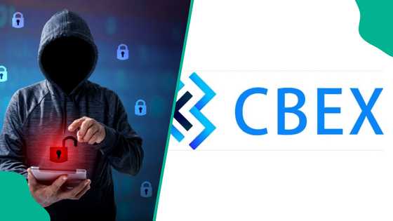 CBEX: Names, faces allegedly behind N1.3 trillion Ponzi scheme as EFCC vows crackdown