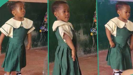 "She is beautiful and neat": Girl in school uniform dances sweetly to Christmas song Feliz Navidad