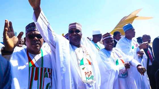 Chieftain makes top notch comparison between Atiku, Peter Obi, Nyesom Wike ahead of 2023 presidential poll