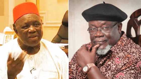 This is one of the biggest moves made by Igbo people - Ex-minister speaks on Obiozor as head of Ohanaeze Ndigbo