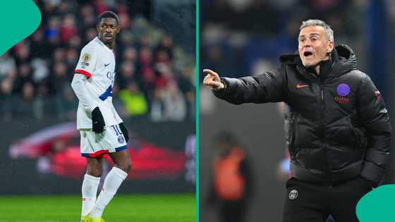 Rennes stuns PSG 3-1: Luis Enrique dismisses Ousmane Dembele's comments on team performance