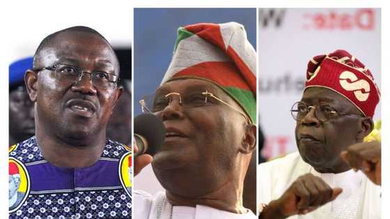 2023 election: Obi, Atiku and Tinubu speak on economic plans