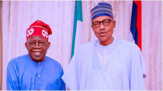 2023 presidency: Buhari makes powerful prediction on Tinubu, reveals top secret about APC candidate