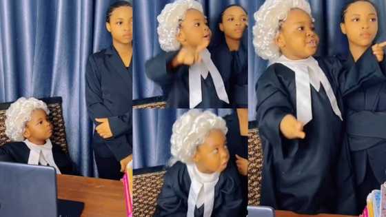 "Cutest barrister ever:" Little girl impersonates barrister and stuns viewers with hilarious performance
