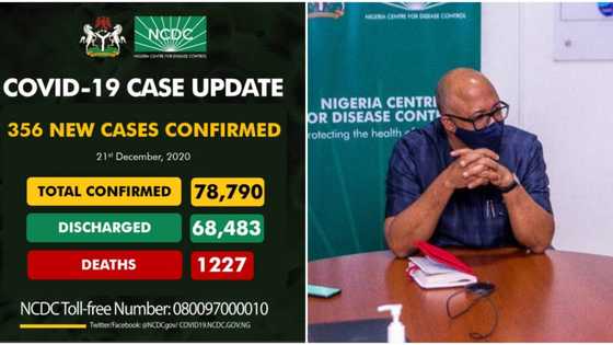 COVID-19: FG records 6 new deaths as NCDC confirms 356 fresh cases