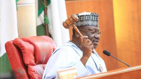 BREAKING: NASS orders ABU, ATBU, UNIJOS to absorb Plateau students from UNIMAID