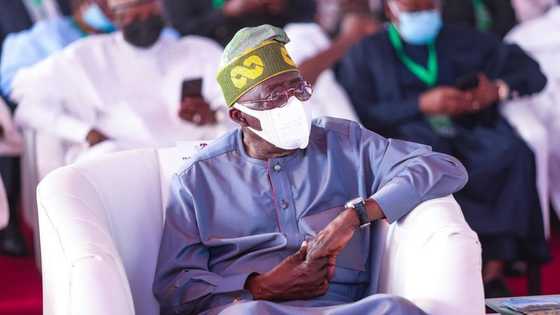 Why Tinubu was absent at APC NEC meeting in Abuja, aide reveals