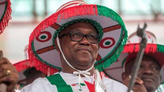 2023 election: “Peter Obi is the man”: Powerful PDP governor publicly declares
