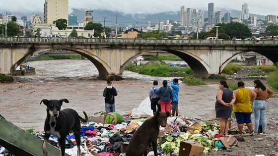 Climate finance's 'new era' shows new political realities