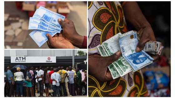 Naira scarcity: Petty traders, transporters, and petrol attendants become top sources of cash for Nigerians