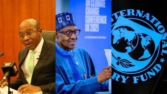 IMF predicts Nigeria's next president to succeed Buhari will spend all revenue on debt servicing