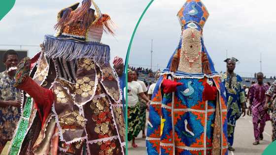 Did lady who filmed Oloolu masquerade procession die? Prominent Ibadan-based content creator speaks