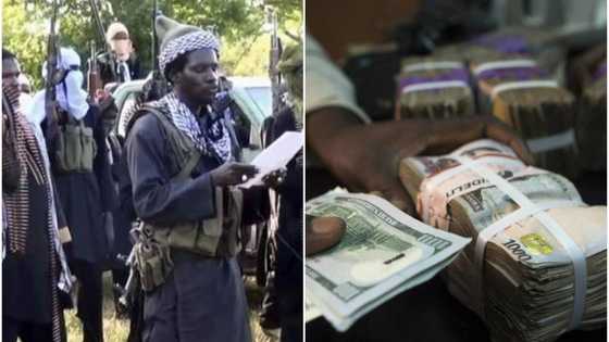 Jihohi 8 da aka kama 'yan kasuwa 400 masu daukar nauyin Boko Haram da 'yan bindiga
