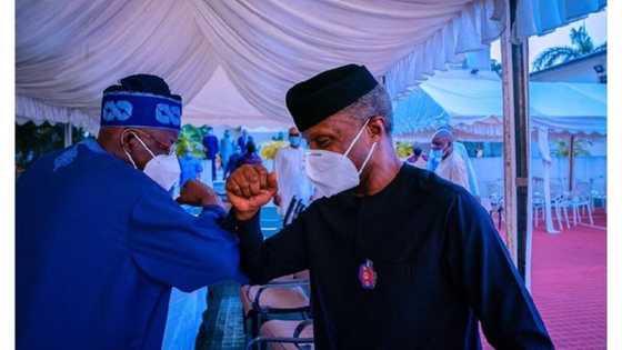 List of people who backed Yemi Osinbajo against Bola Tinubu