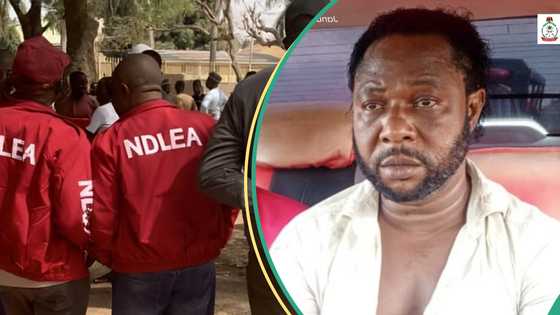 NDLEA arrests wanted drug kingpin 12 years after killing 3 officers