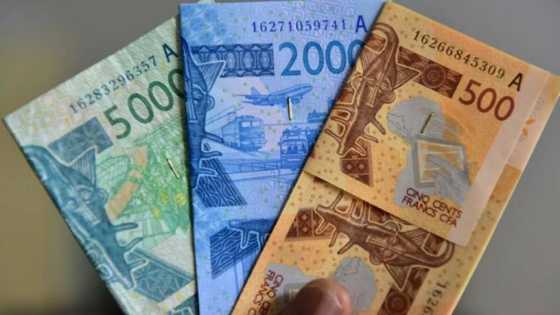 Naira ta kusa zama labari: Za'a fara amfani da kudin ECO nan da shekara 1 - Ouattara