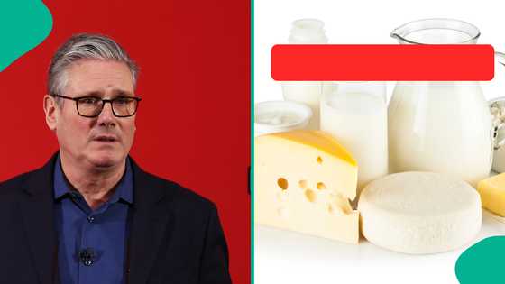 UK releases list of items not accepted when entering the country in 2026