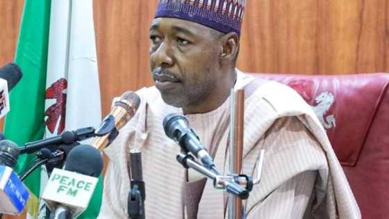 Da duminsa: An ceto karin mutum daya cikin yan makarantan Chibok, Zulum