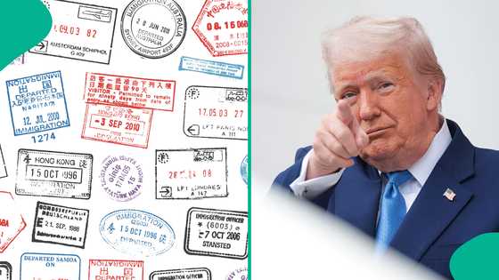 Trump bans 12 countries completely from coming to the US, releases full list
