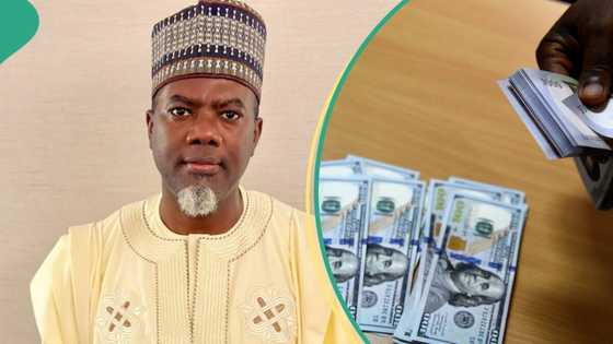 “Convert your dollar to naira now”: Reno Omokri predicts when naira will rise more against dollar
