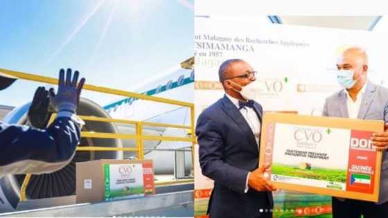 Jubilation as Madagascar sends COVID-19 "herbal medicine" to 15 African countries