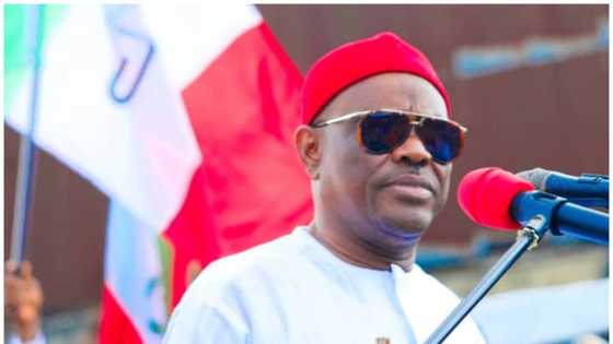 2023 presidency: "Why I lost PDP ticket", Governor Wike finally spills