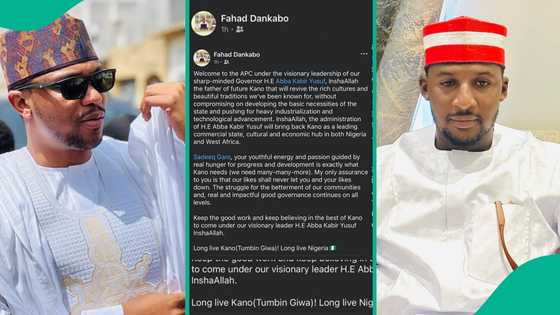 Jagoran matasan Kwankwasiyya ya koma tafiyar Gwamna Abba, Dankabo ya yi martani