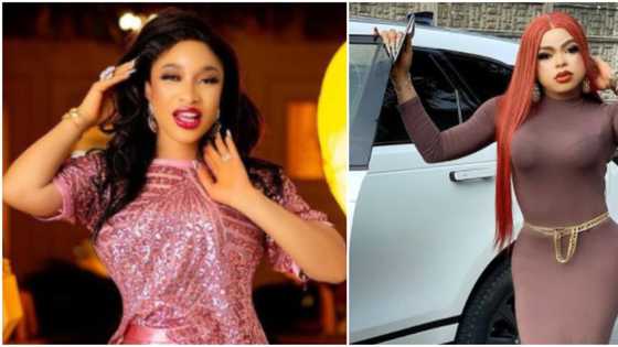 You are disgusting as a friend, ungrateful hoodlum: Tonto Dikeh slams Bobrisky as their fight gets messier