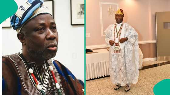 Ex-OAU VC claims Nigerian professors earning gardener’s 3-hour pay, slams FG
