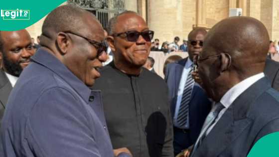 Shugaba Tinubu ya haɗu da Peter Obi a bikin naɗin Fafaroma, an ji abin da suka tattauna